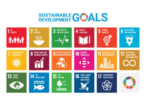 Die 17 SDGs - Sustainable Development Goals 